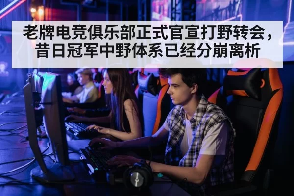 professional gamer playing computer